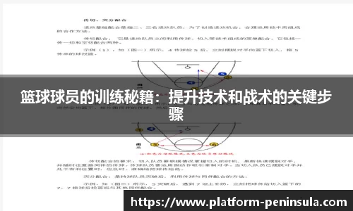 半岛体育入口
