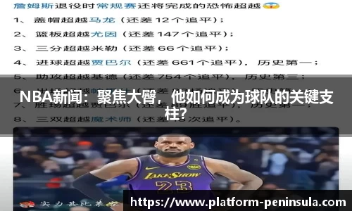 半岛体育全站