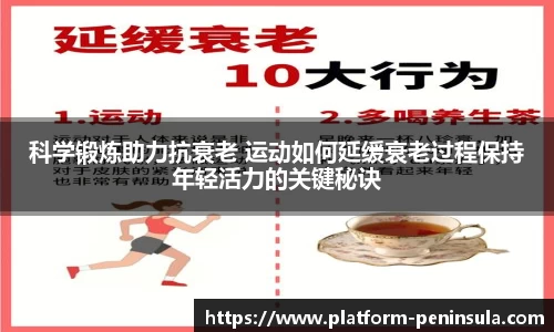 半岛体育入口